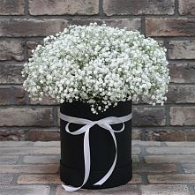 Цветочная композиция из Гипсофила в шляпной коробке #REPLACE_PRED# Яковлевка Приморского края