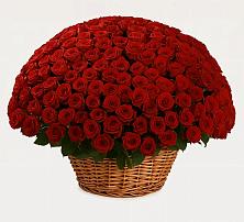 Премиум букет из: Розы в Яковлевка Приморского края